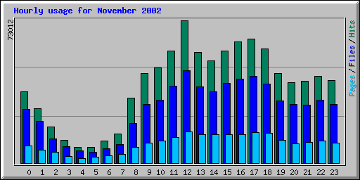 Hourly usage for November 2002