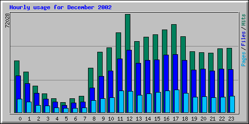 Hourly usage for December 2002