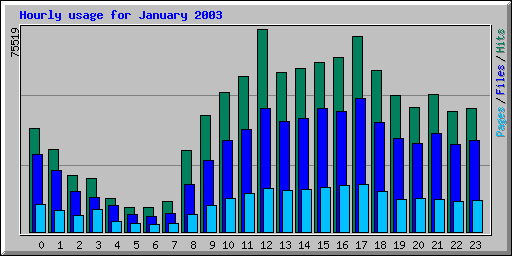 Hourly usage for January 2003